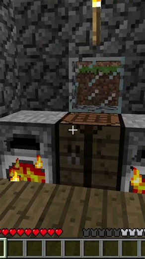 1 minute Minecraft Infdev world tour