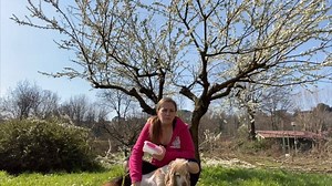 52K views · 94 reactions | #iorestoacasa con...Mondovicino Outlet Village! | Eccoci con il secondo video tutorial degli amici di Asilo per Cani Dog is Good! Non sai più come tenere buono il tuo pelosone?  Niente panico! Oggi impariamo il trick "Rotola": un trucco per intrattenerlo e giocare insieme a lui, un metodo utilissimo per mantenere attiva la sua mente in questo momento di stallo. Provalo a casa e facci sapere come va! | Mondovicino Outlet Village | Facebook