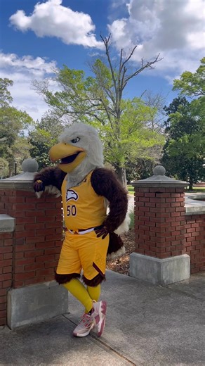6.2K views · 71 reactions | Big Stuff is patiently waiting for new (and soon-to-be) #Winthrop Eagles to register for our next Open House on Oct. 18! Get an in-depth view at academics and campus life at Winthrop, meet current faculty/staff/students, explore your major, and tour campus, including a special @artswinthrop tour. ➡️ www.winthrop.edu/admissions/visit-the-campus.aspx | Winthrop University | Facebook