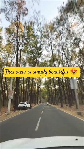 #nature #travel #mountains #youtubeshorts #ytshorts #uttarakhand