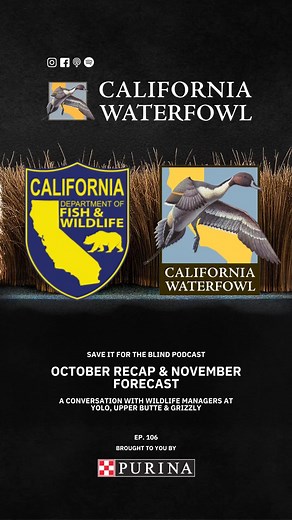 🦆 Get the latest intel on the waterfowl season from CDFW experts in the field! 🎙️ Jeff Smith checks in with three boots-on-the-ground voices to break down how California’s waterfowl opener really went—and what to expect as November weather finally shows up. 🌧️ Guests include Garrett Spann (Yolo Wildlife Area), Derek Seweck (Upper Butte Basin), and Orlando Rocha (Grizzly Island Wildlife Area). 🎧 Check out the full episode at https://www.youtube.com/watch?v=U_6pYt_L0Kk&list=PLjUNsaMQbueLkYWaDV