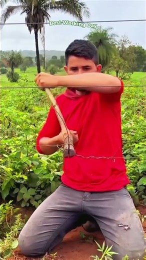 An original way to repair and tighten smooth wire in a fence using a wooden fork