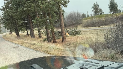 Wind advisory issued for Missoula, Bitterroot Valleys Friday