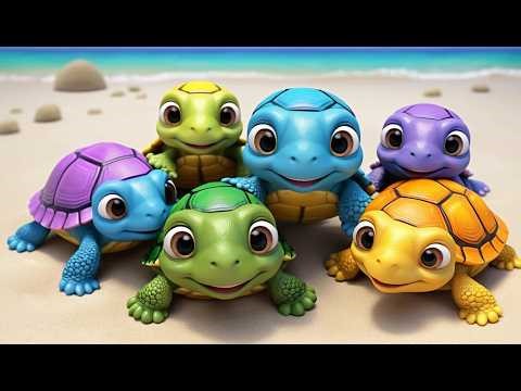 Cinco Pequeñas Tortugas Bebés Gatean | Canciones Infantiles de Naturaleza y Conteo