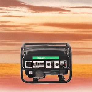 [Hot Item] 2.5kVA to 10kVA Portable Small Diesel/Gasoline Set Single Three Phase Power Generator