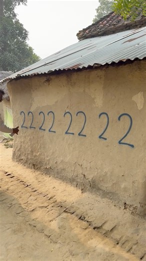 4 love parrot drawing step by step for beginners | AP Drawing