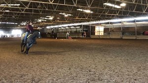 Major shout out to #MacShowHorses and Mackenzie Fallis on a great job starting this #InitialsOnly 2-year-old stallion, owned by #TBQH and Duane Walker (Tee Jay Quarter Horses LLC). #TBBourbonOrJack, has less than 30 days on him and we could not be more excited or proud of his progress. Great job, Mac! Initials Only X Tee J Thirsty Jill | Terry Bradshaw Quarter Horses