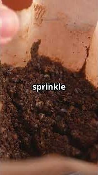 ☕ Coffee Grounds in Your Garden The Good, The Bad, and The Surprising!