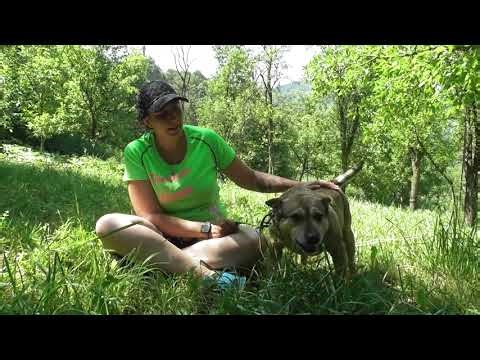 Milica – endlich wälzen im Gras, endlich frei – mit Dir!