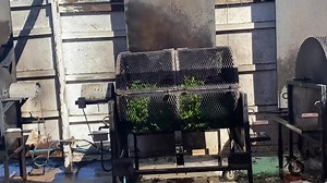 Musso Farms tells me these chiles are cooking at 950 degrees. Wow that’s hot. It smells pretty good too. Definitely makes me want a taste! 🌶️ | Brian Sherrod CBS Colorado