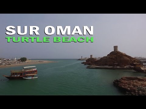 Visiting Turtle Beach | Sur Oman