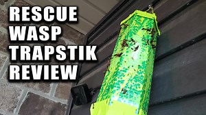 Watch Rescue Wasp TrapStik Review and Instructions on Amazon Live