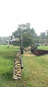 35M views · 267K reactions | What a mare 濾 Angel dug super deep to...