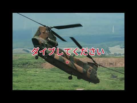 第19話 「耐空検査のダイブ飛行｜Vne超過禁止速度に挑んだ話」