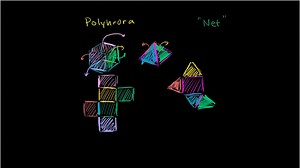 Intro to nets of polyhedra