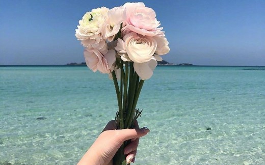 Unity小演示---如何添加Terrain, Windzone , Rain和Piano Music