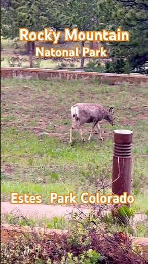 Rocky Mountain National Park