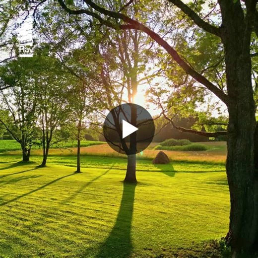 #ravago #engineeringplastics #ensoft #ravathane #ravamid #mafill #advancedpolymers #materialsinaction #springmoments #ravagoturkiye #ravagothermoplasticelastomers #ravagothermoplasticpolyurethanes… | Ravago Petrokimya Üretim A.Ş.