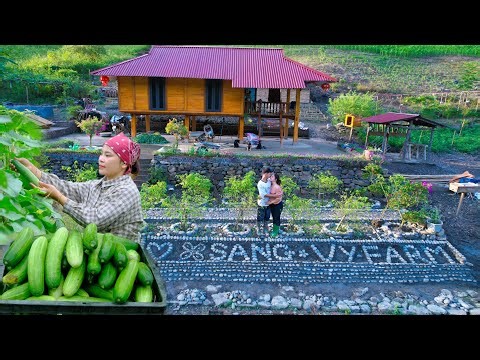 How Sang Vy raises chickens, builds a chicken farm, grows and harvests agricultural products to sell