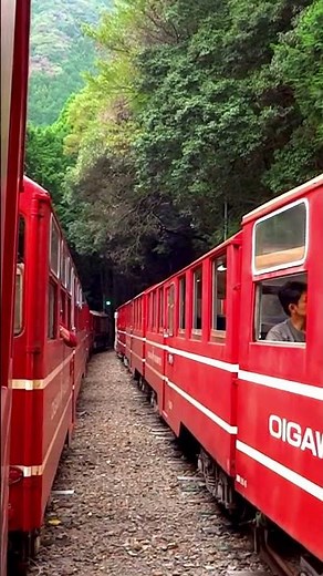 静岡県大井川鉄道井川線【アプト式列車】Oigawa Railway Ikawa Line, Shizuoka Prefecture [Abt system train]