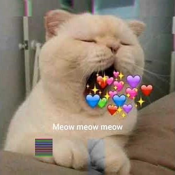 [ lyrics] Mi pan zu zú zù:D