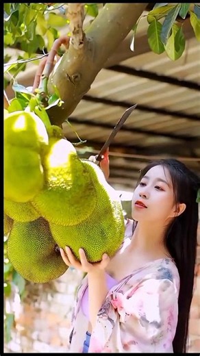 Harvesting Exotic & Fresh Fruits directly from the Orchard! 🍎🍊 #shorts #fruit #yummy