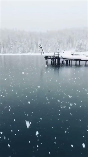 Heavy SnowFall in Winter Season, Nature Ambience with Relaxing Music #snow #snowynight #snowfall