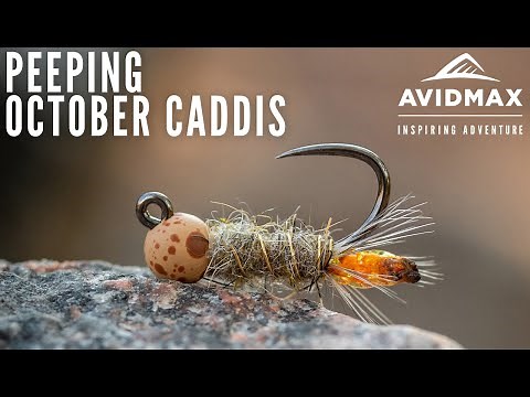 How to tie the Peeping October Caddis | AvidMax Fly Tying Tuesday Tutorials