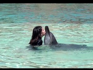 Atlantis the Palm Dubai - Dolphin Bay