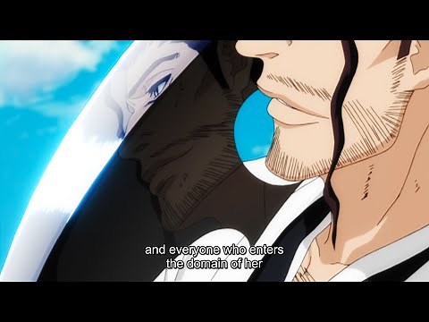 Shunsui Kyoraku Revealed the Secret of His Blades' Bankai - Bleach