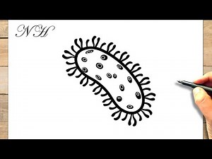 Comment dessiner une bactérie facile