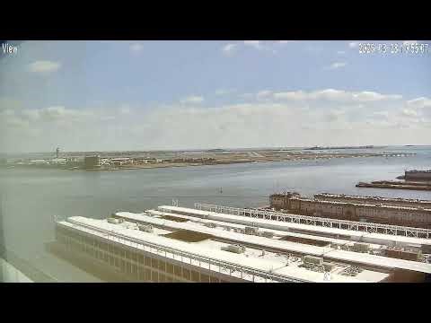 Boston Harbor Live View Live Stream