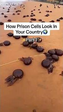 Inside a Real Prison Cell – What Life Looks Like Behind Bars | Prison Room Tour, Daily Life in Jail,