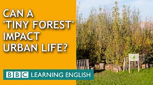 🌱🌱🌱What is a 'tiny forest' and how does it impact urban life?🏢🚗🚌 A number of environmental groups are planting tiny urban forests – about the size of a tennis court. 🌳🌳🌳 Here's a look at one such tiny forest in the Netherlands, whose advocates say it delivers many benefits such as increasing biodiversity. 1. How are the words ‘neighbourhood’ and ‘metres’ spelt in American English? a) neigborhood / mitres? b) neighbourhud / metris? c) neighborhood / meters? 2. What do you do in your dail