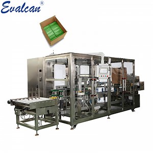 [Hot Item] Side Loading Customized Case Packer for Snacks Bag