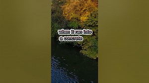 Fishing Joke 3 jokes fishingjokes humor