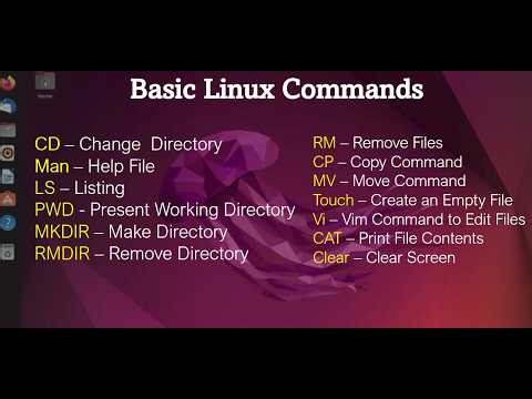 Basic Linux Commands for Beginners