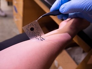 Soft, stretchy electrode simulates touch sensations using electrical signals | Newswise