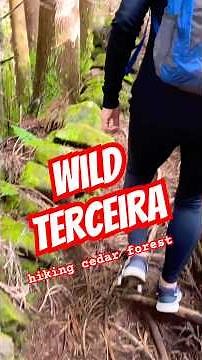 Hiking Wild Terceira