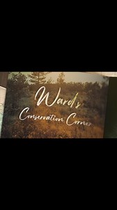 The bear population is thriving in Virginia. 🐻 Whitetail Institute of North America-Wildlife Research Center, inc. | Ward Burton