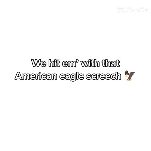 Spring lock failure be like