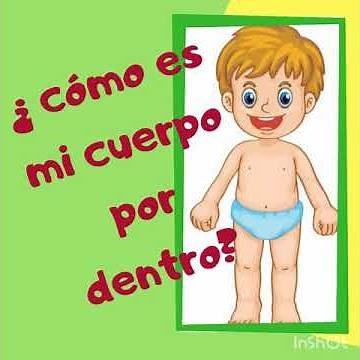 Sistema del cuerpo humano para niños parte 1