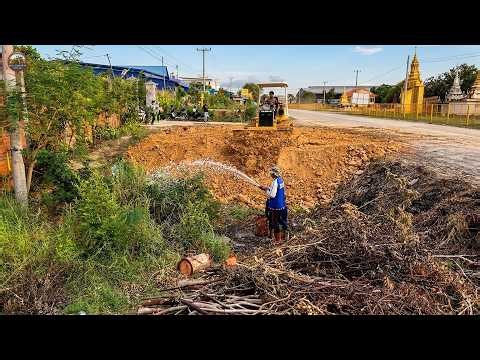 LIVE: Bulldozer & 5-Ton Dump Truck Working Together to Fill a Large Landfill Hole.