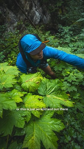 Patagonia on Instagram: "“Our general definition of success for this was about as loose as our definition of running.” When Matthew Tufts (@matthew_tufts), Tristan Kodors and Everett Craig set out to attempt a 50-mile, west-east traverse of British Columbia’s Selkirk Mountains, they didn’t exactly know what to expect—other than the fact that things probably wouldn’t go according to plan. Watch the full story at the link in bio."