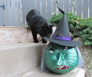 Wicked Witch Pumpkin