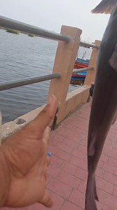 11K views · 318 reactions | Solo en El Salvador nos hecharemos este buen sopon? | Puerto El Triunfo 360 - El Salvador | Facebook