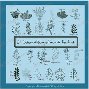 24 Procreate Stamps Brush Set Foliage and Flower | Embroidery Stamps | Procreate Flowers Stamps | Procreate Leaves L Floral Sublimation L - Etsy Canada