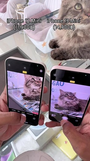 iPhone 12 Mini Vs iPhone 13 Mini Comparison