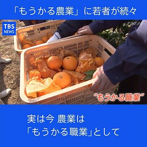 高齢化や後継者不足が深刻と言われてきた農業。実は今、「もうかる」仕事として人気になりつつあるのです。「年収１千万円を目指す」と、若い世代が続々参入。業界を変えるうねりとなりそうです。 （Nスタ 2020年12月23日放送） | TBS NEWS DIG Powered by JNN