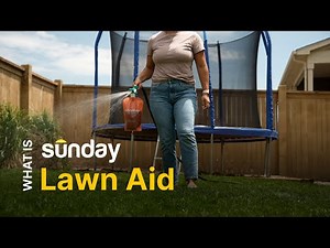 How to Apply Sunday Lawn Aid